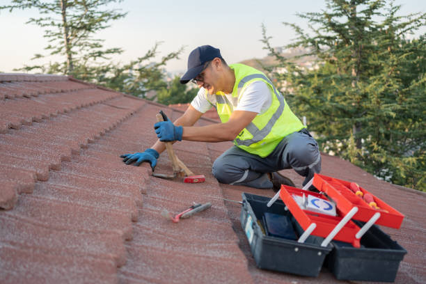 Roof Repair Estimates in River Ridge, FL